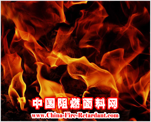 瑞士公司研制新型<strong>阻燃</strong>聚酰胺纤维
