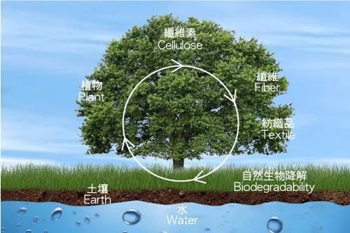 带你了解科技感满满的功能性面料——阻燃纤维面料