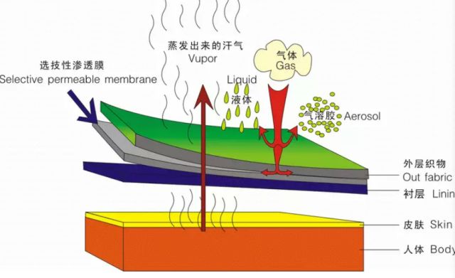 防弹衣研究概况